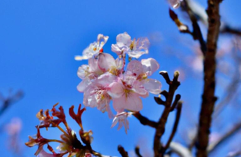口腔の健康を守る、未来のための第一歩を踏み出しましょう！｜鶴瀬の歯医者・うららか歯科